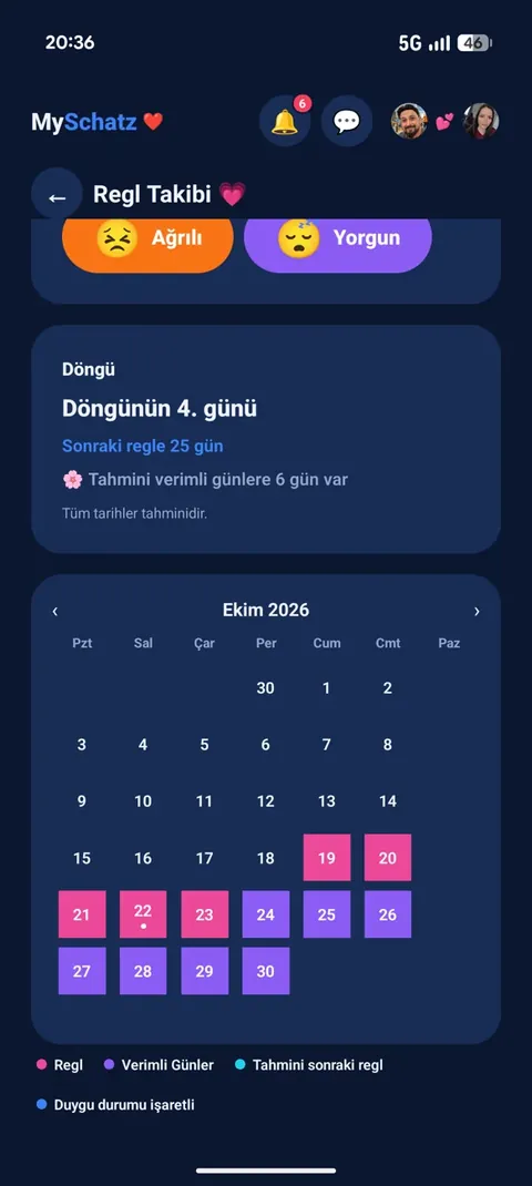Cycle Tracking — 3
