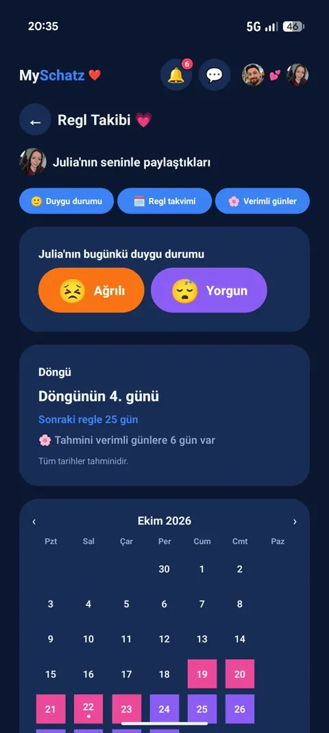 Cycle Tracking — 4